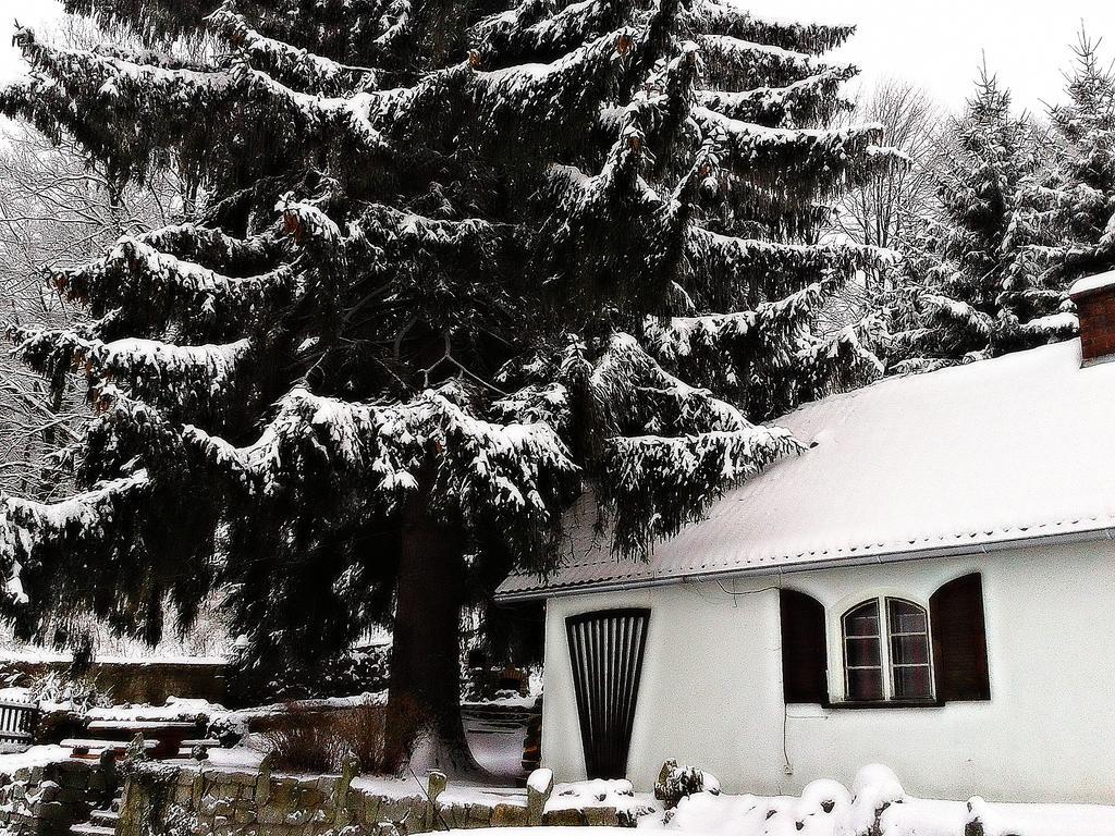 Willa Smieszek Sosnowka  Bagian luar foto
